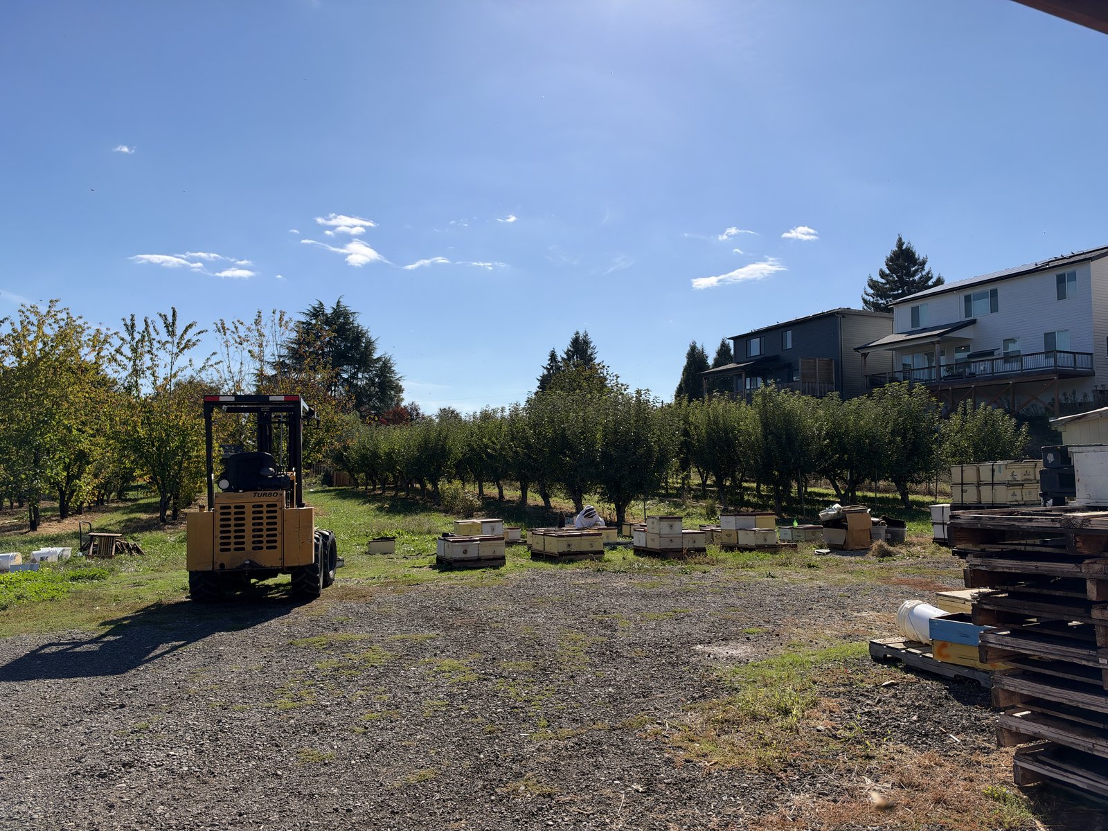 Damascus Apiary Yard with Forklift and Beehives