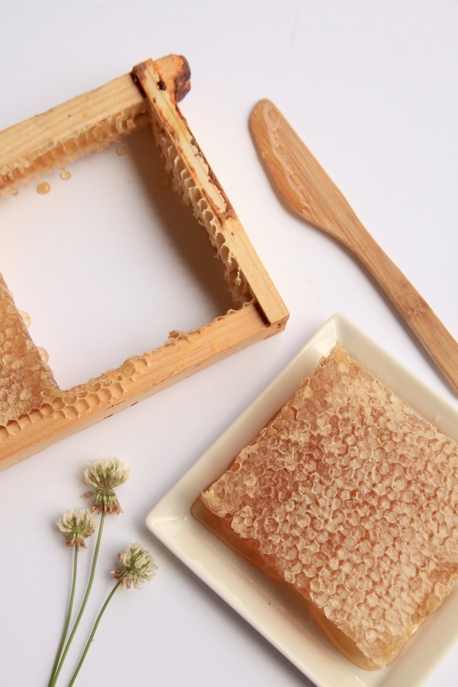 Raw Cut Comb Honey