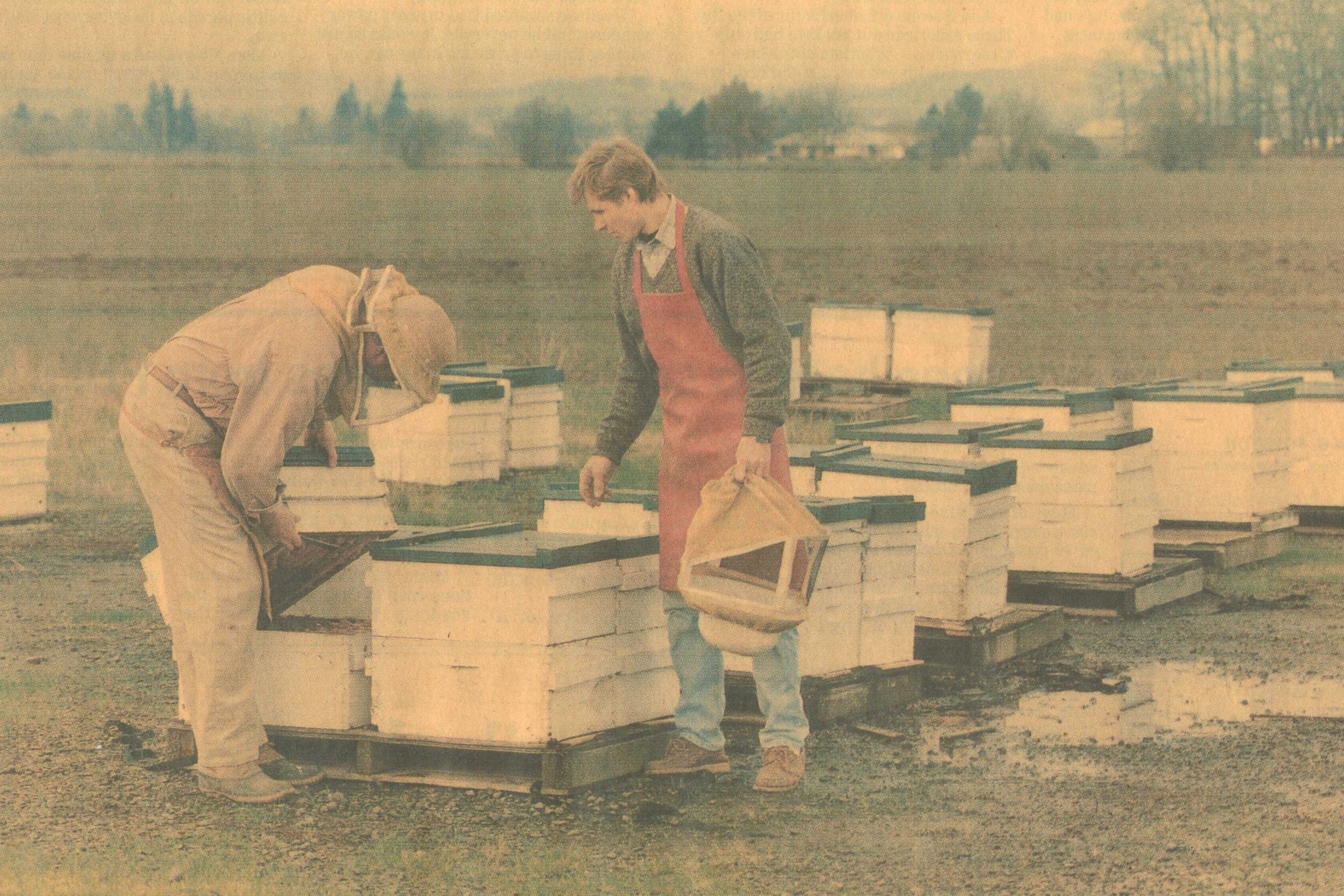 Leonid Zaytsev inspecting beehives during the founding of Bee Way Honey (Press Archive)