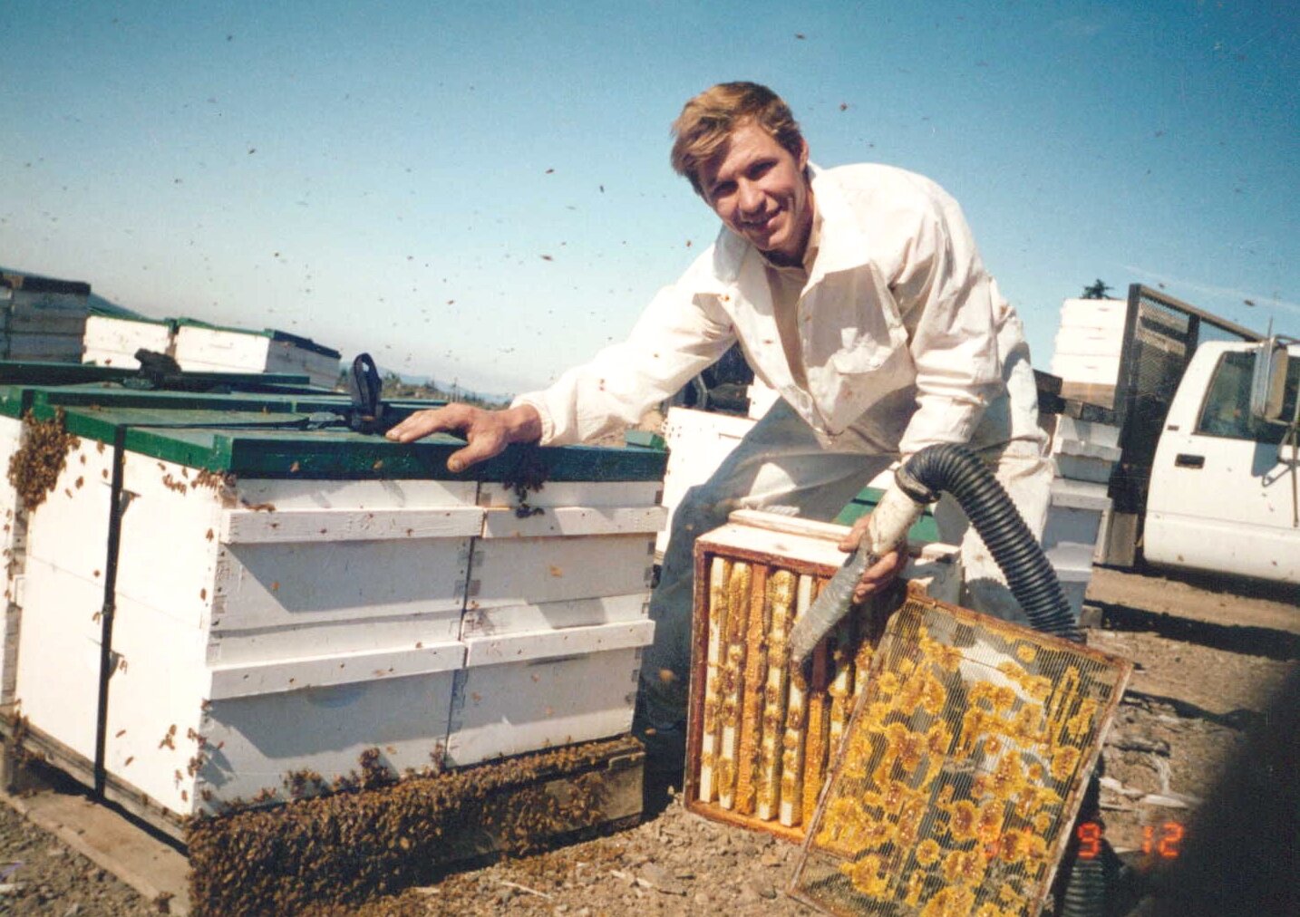 Leonid Zaytsev Harvesting Fresh Honeycomb