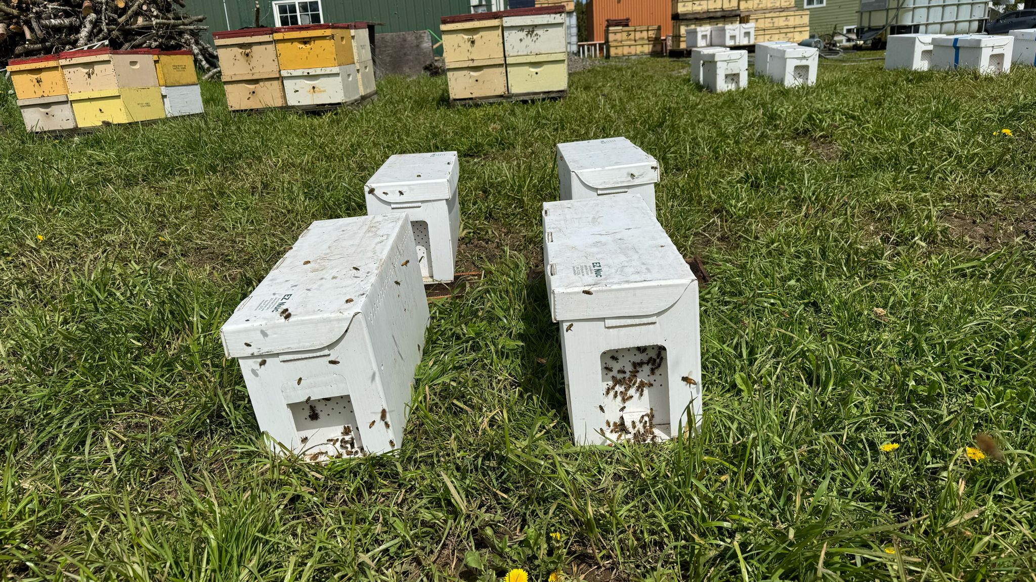 NUC Bee Hive Boxes